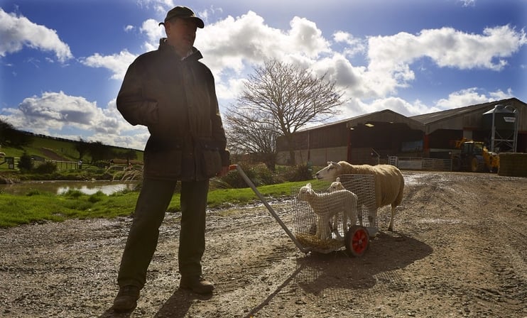 Glamping and the Working Farm - Main Image