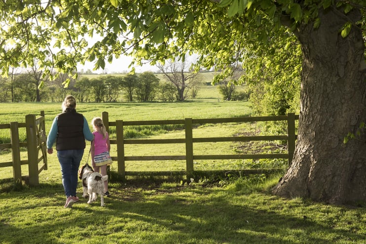 5 Beautiful Walks in Yorkshire for Your Glamping Holiday - Main Image