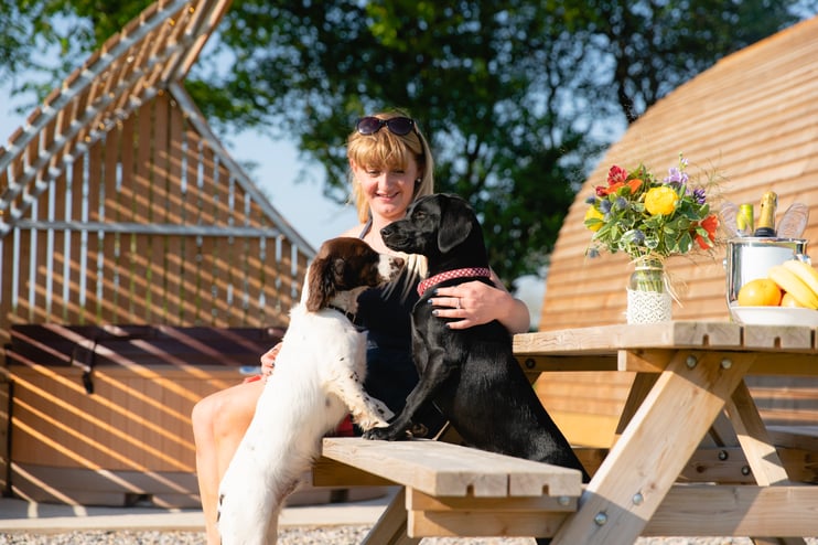 Work Like A Dog Day - Main Image
