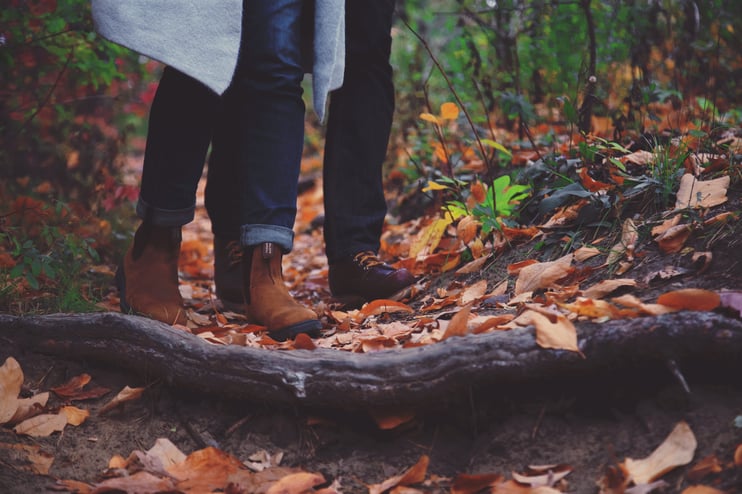 5 Best Places For Camping To See Autumn Colours In The UK - Main Image